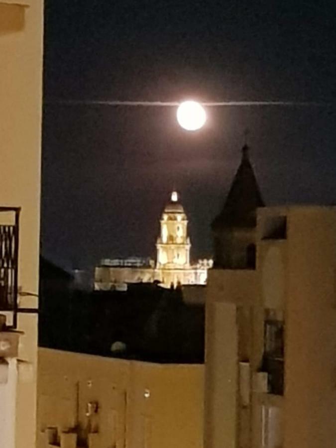 Apartamento Con Vistas A La Catedral A 15 Minutos Del Centro Malaga Zewnętrze zdjęcie